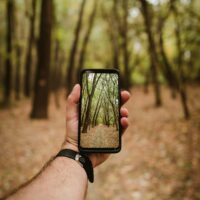 A man in some trees, looking at a phone with a picture of the trees.