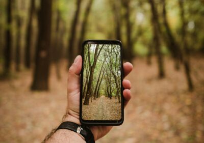 A man in some trees, looking at a phone with a picture of the trees.