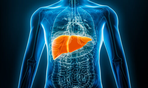 A liver stands out brightly in a person's chest