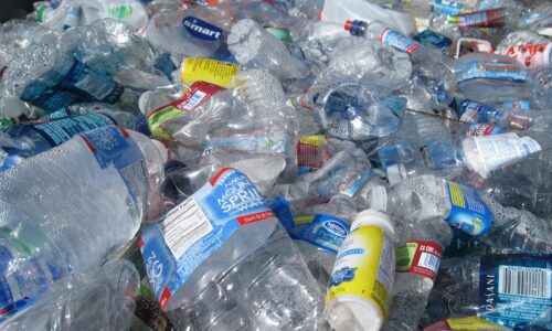 a wasteland of used, crushed plastic bottles
