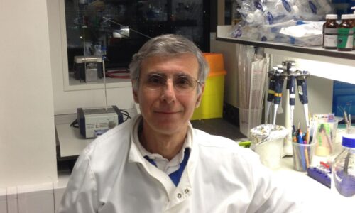 Professor Michael Antoniou in his lab