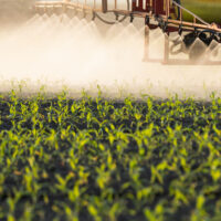 Tractor spraying pesticides on corn fields