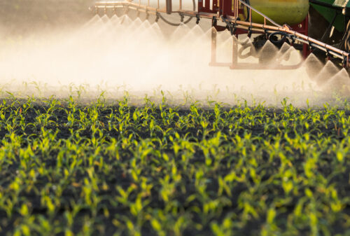 Tractor spraying pesticides on corn fields