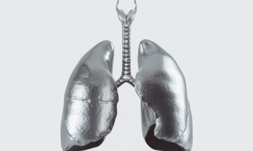 Lungs made out of metal