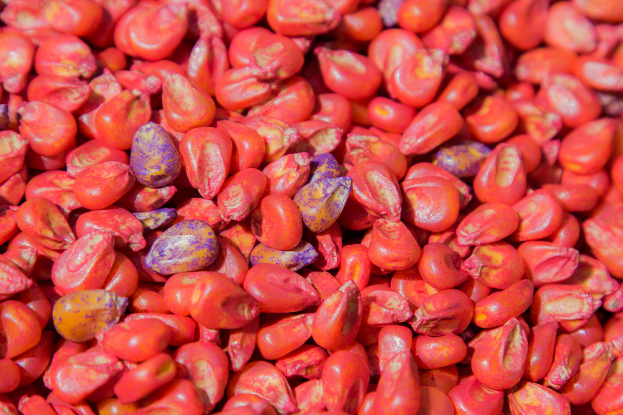 Neonicotinoid health risks: widespread exposure, growing…