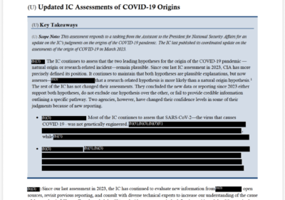 Screenshot of National Intelligence Council memo "Updated IC Assessments of COVID-19 Origins"