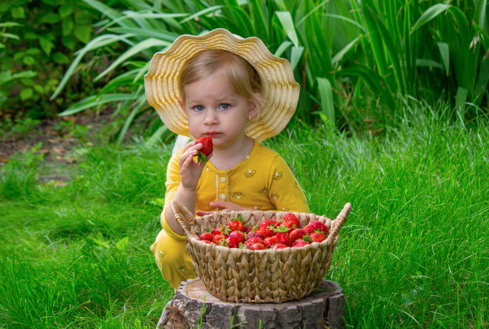 A child with a basket of strawberries